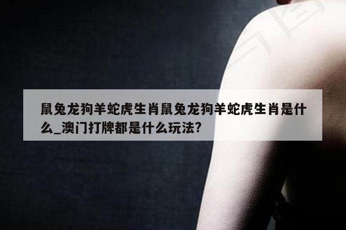 鼠兔龙狗羊蛇虎生肖鼠兔龙狗羊蛇虎生肖是什么_澳门打牌都是什么玩法?